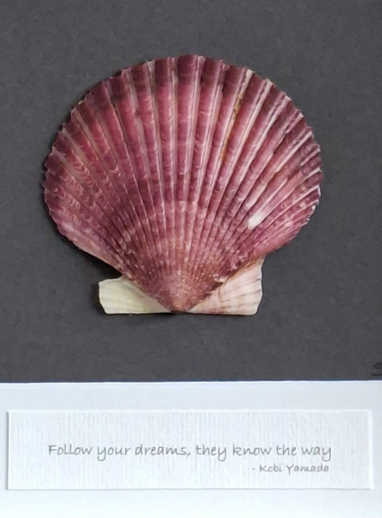 Pink Scallop Shell | El Camino |  Unique Irish Shell Art | Birthday gift | Retirement gift |  Thank you gift | Coastal Decor
